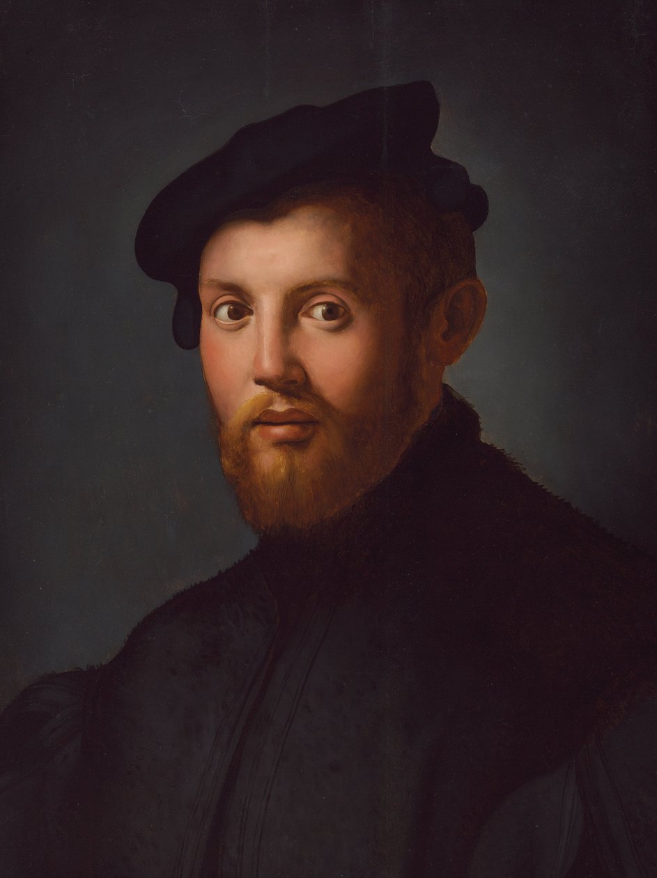Nuoren miehen muotokuva kirjan kanssa tekijältä Agnolo Bronzino