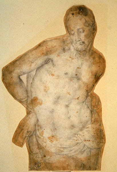 Kristus pylväässä (liitu paperille) tekijältä Agnolo Bronzino