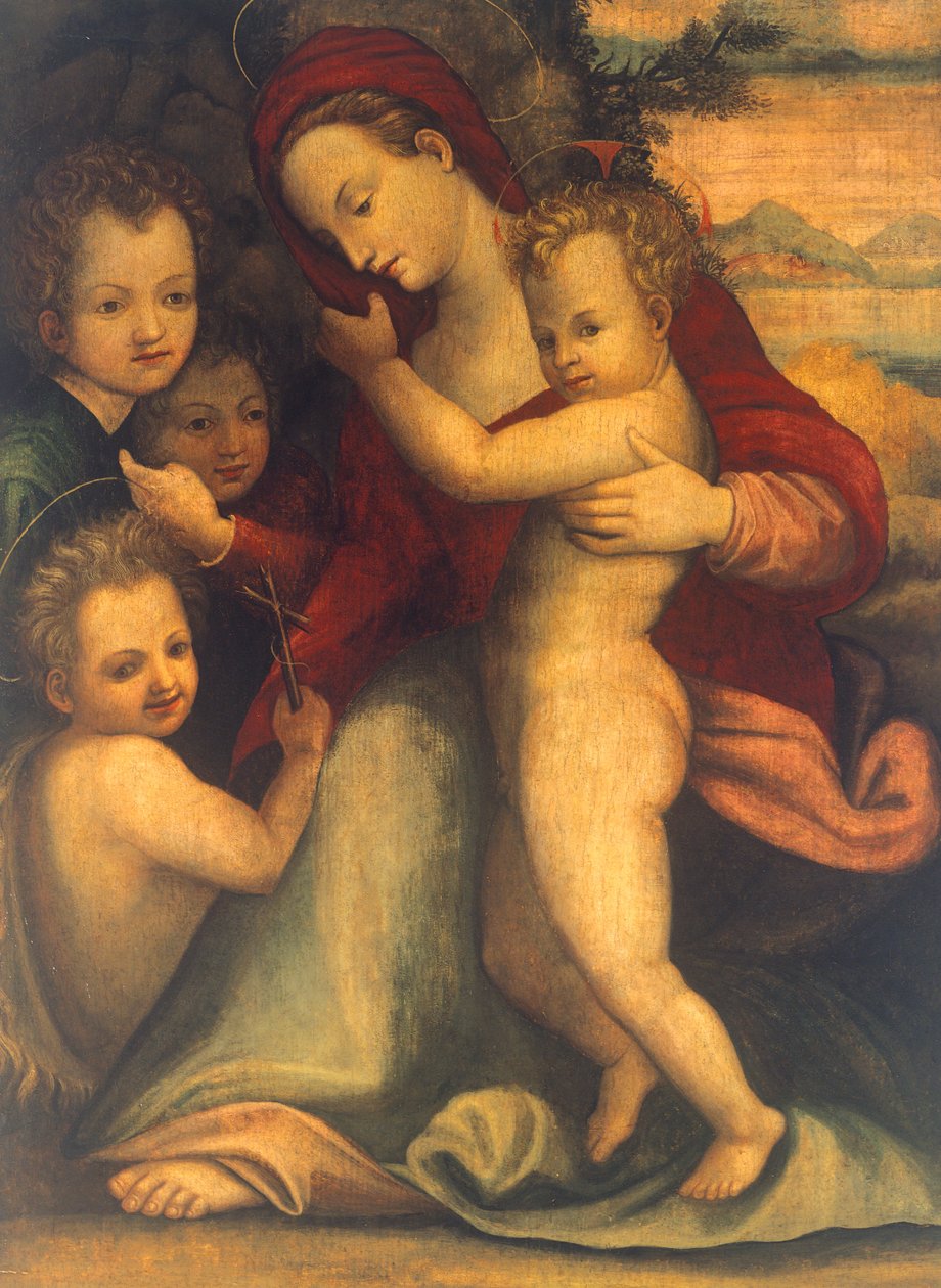Madonna lapsen kanssa, Pyhä Johannes ja enkelit tekijältä Agnolo Bronzino
