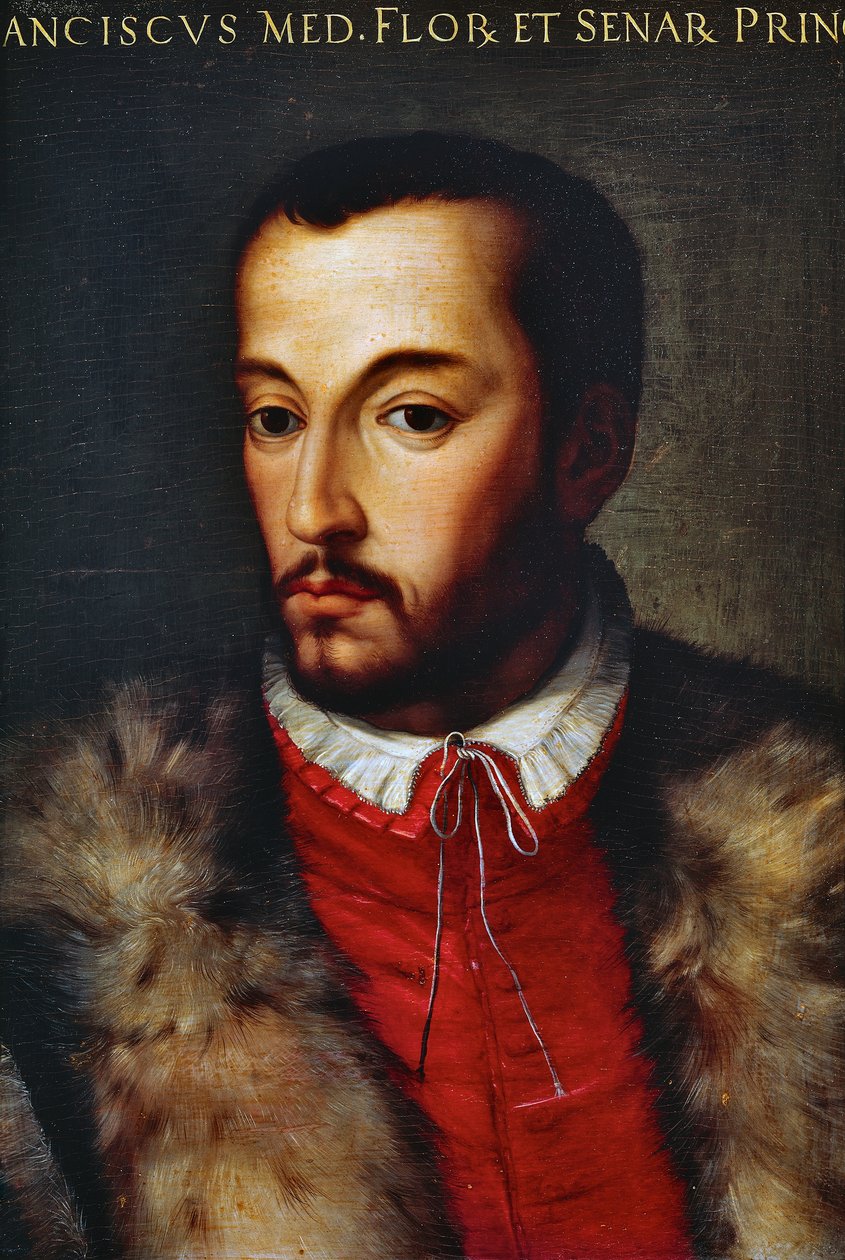 Francesco I de Medicin muotokuva (Firenze tekijältä Agnolo di Cosimo Bronzino