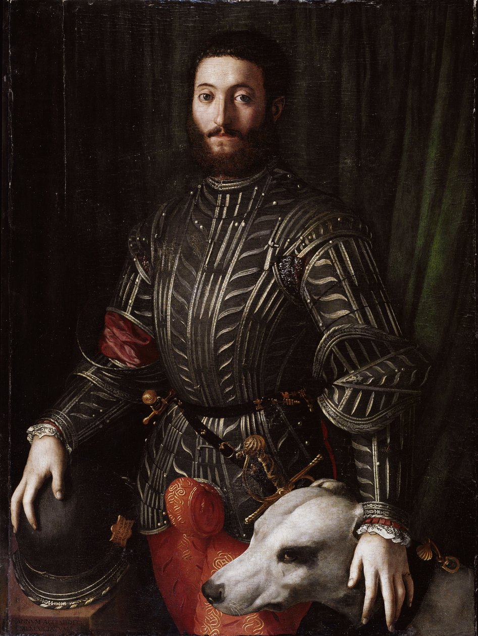 Guidobaldo II Della Roveren (1514-1574) muotokuva Urbinon herttua (Guidobaldo II della Rovere, Urbinon herttua) Bronzino Agnolo di Cosimo di Marianon (1503-1572) maalaus 1531-1532, öljy puulle, halkaisija 6 cm14x8 Palazzo Pitti tekijältä Agnolo Bronzino