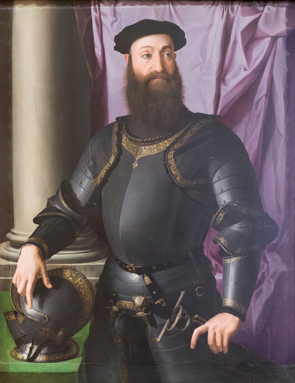 Stefano IV Colonnan muotokuva tekijältä Agnolo Bronzino