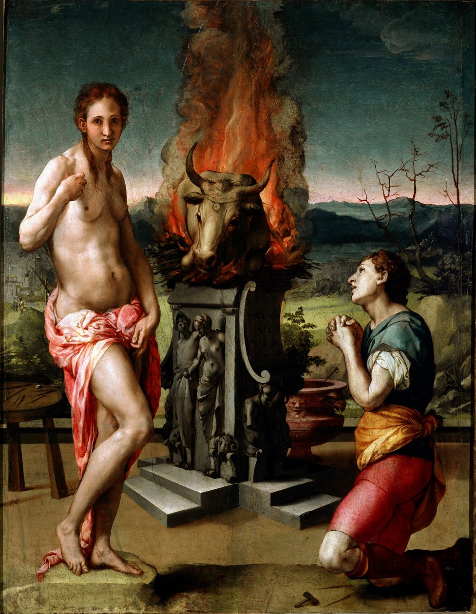 Pygmalion ja Galatee (tai Galathee) maalaus Agnolo di Cosimo di Mariano dit Il Bronzino (1502-1572) 1529-1530 su. 81x63 cm Firenze, Uffizi Gallery (Musee des Uffizi) tekijältä Agnolo Bronzino