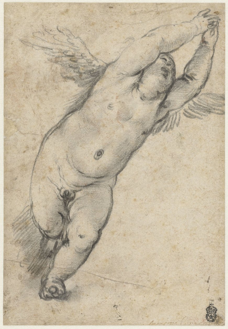 Lentävä putto kädet ylhäällä tekijältä Agostino Carracci (attributed to)