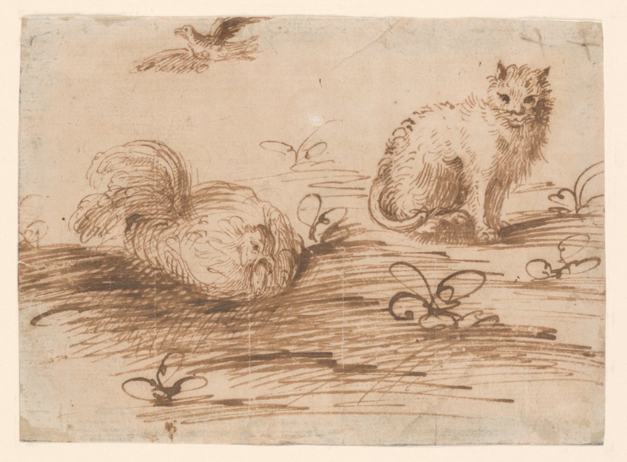 Kissa ja asettuva kana tekijältä Agostino Carracci