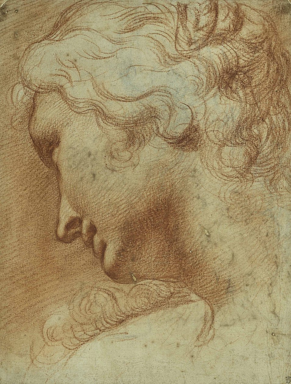 Nuoren naisen pää, joka katsoo alas oikean olkapäänsä yli (punainen liitu paperilla) tekijältä Agostino Carracci
