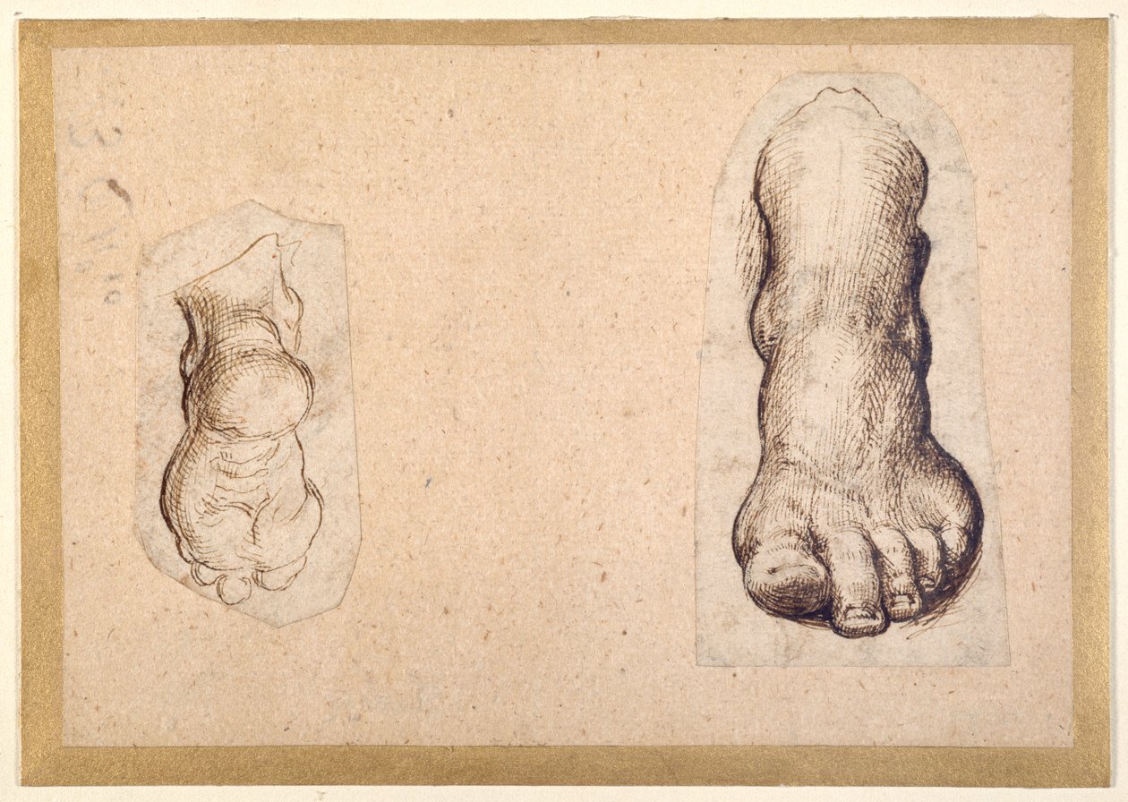 Kaksi tutkimusta jalan lyhentämisestä (kynä ja muste paperille) tekijältä Agostino Carracci