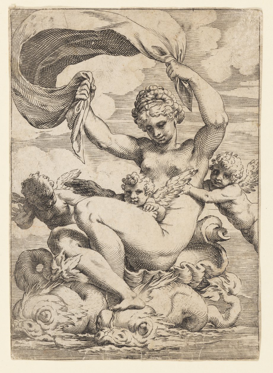 Venus (tai Galatea) ja delfiinien tukemat Cupidit tekijältä Agostino Carracci