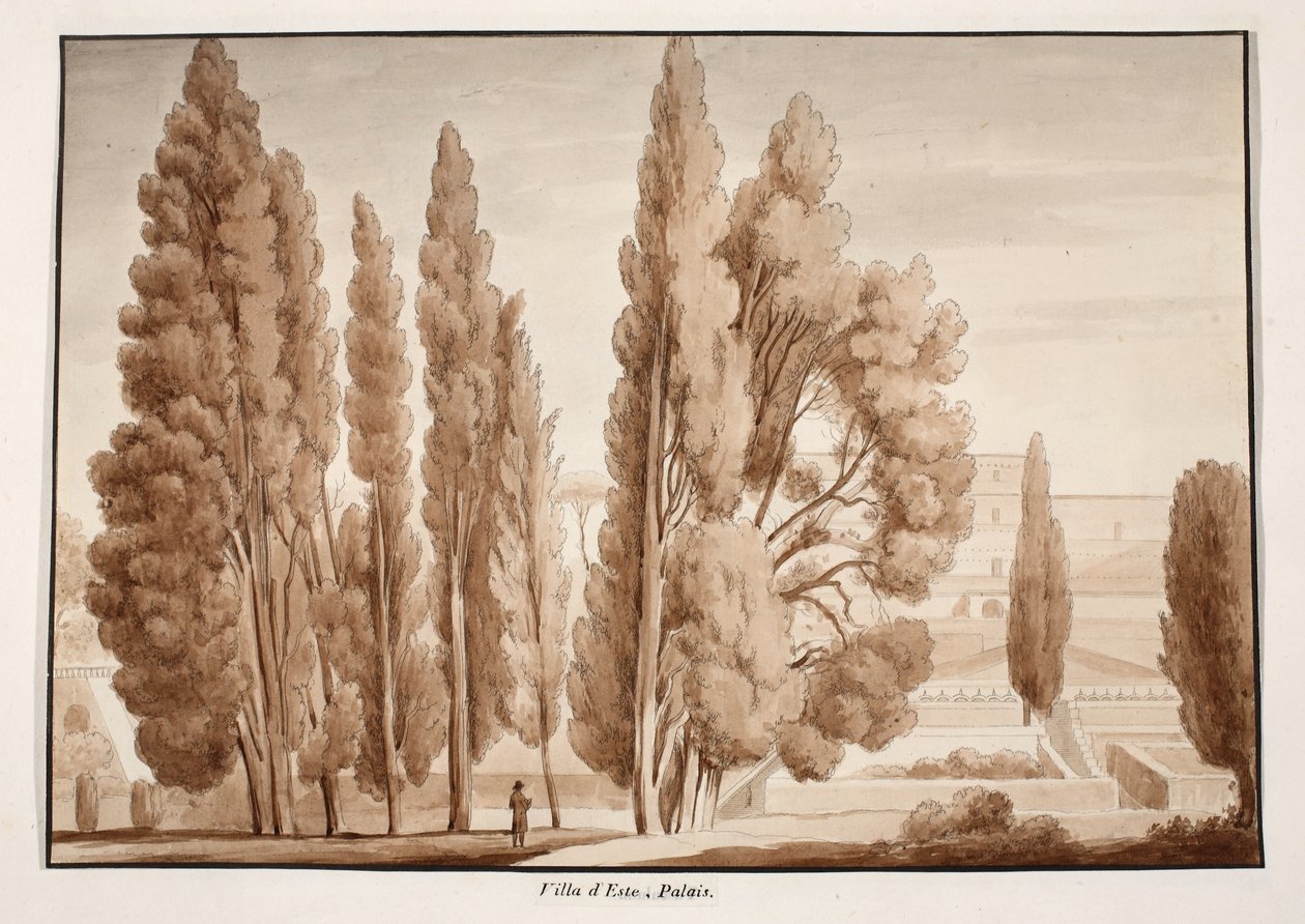 Villa d