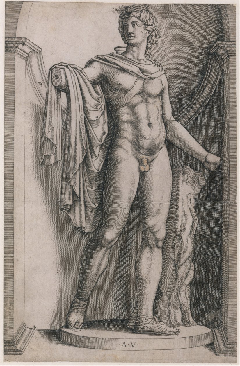 Rooman loiston peili: Apollo Belvedere, n. 1514-36, n. 1514-36. tekijältä Agostino Veneziano