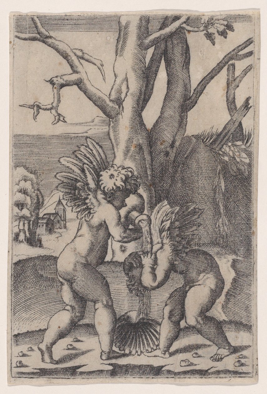 Kaksi Cupidoa, n. 1519. tekijältä Agostino Veneziano