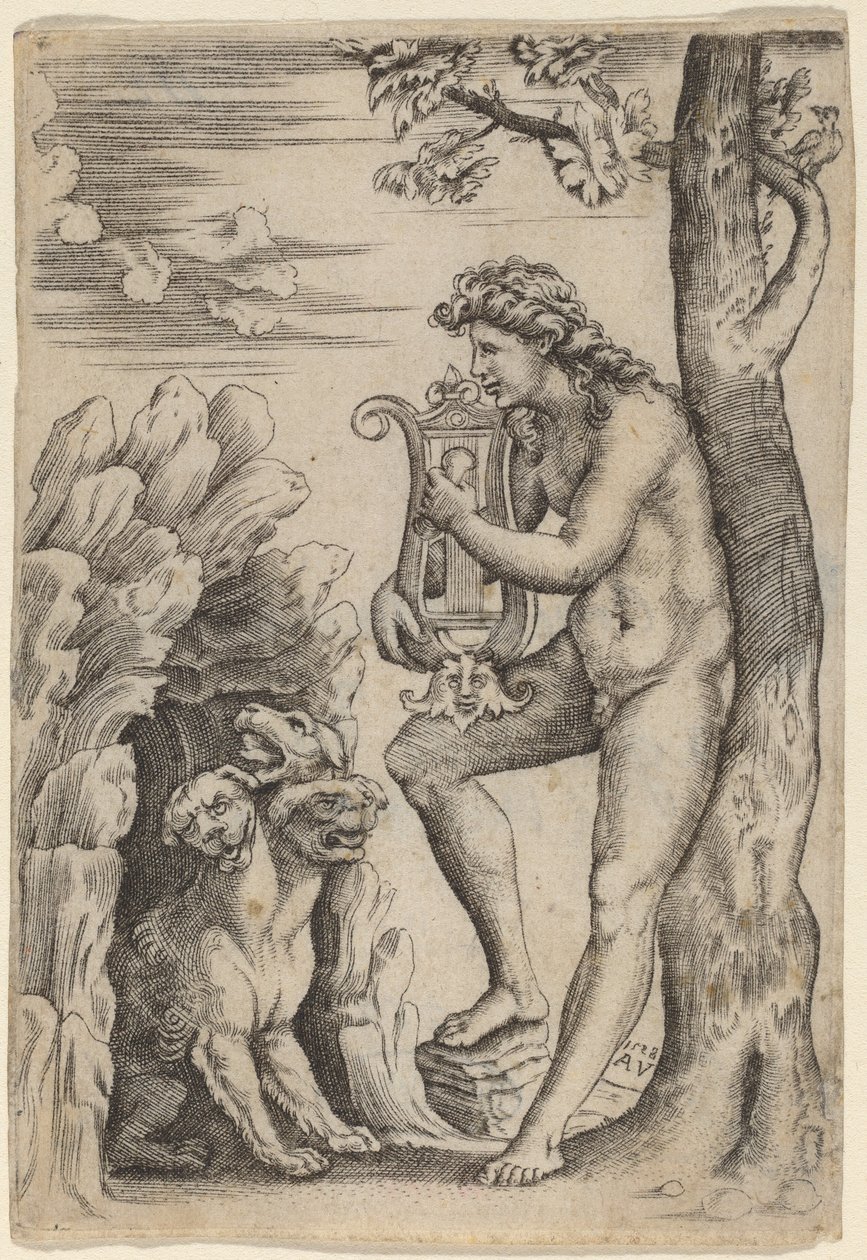 Orpheus tekijältä Agostino dei Musi