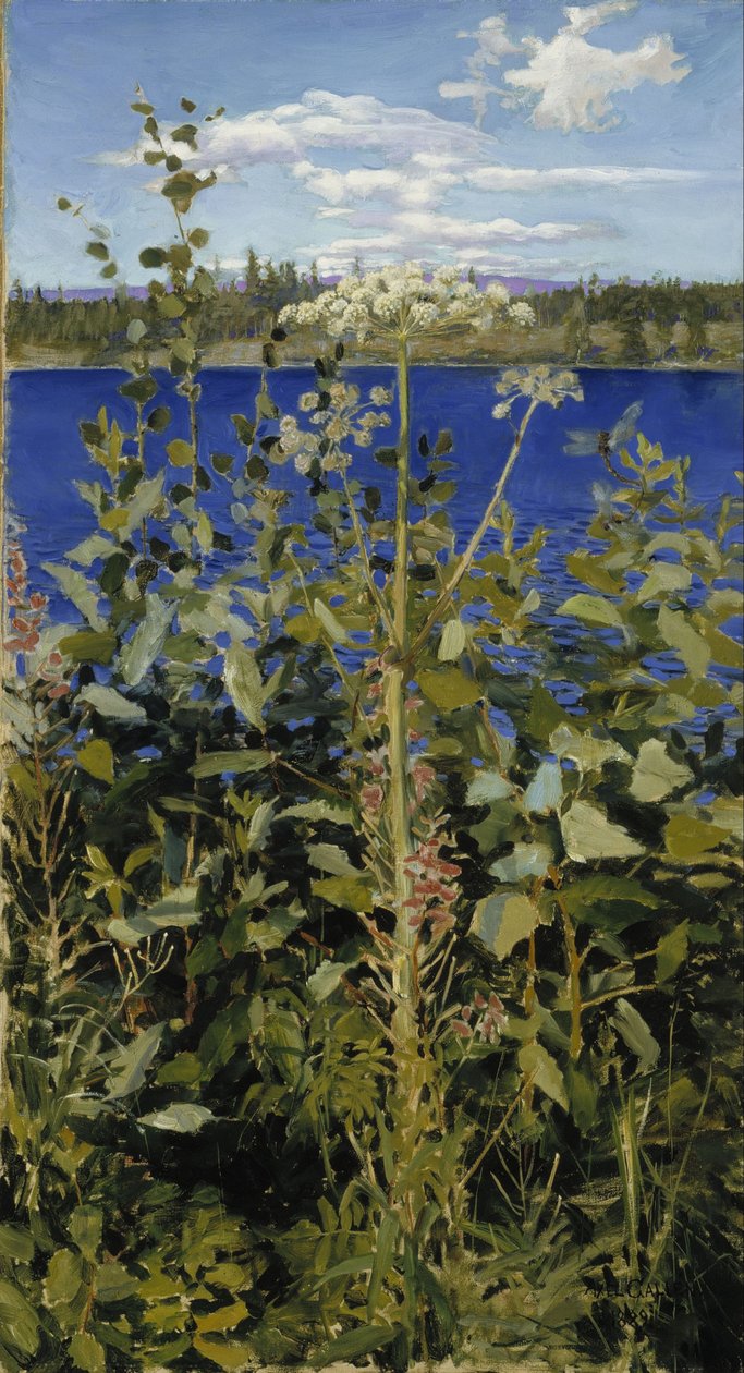 Villi Angelica tekijältä Akseli Gallen-Kallela