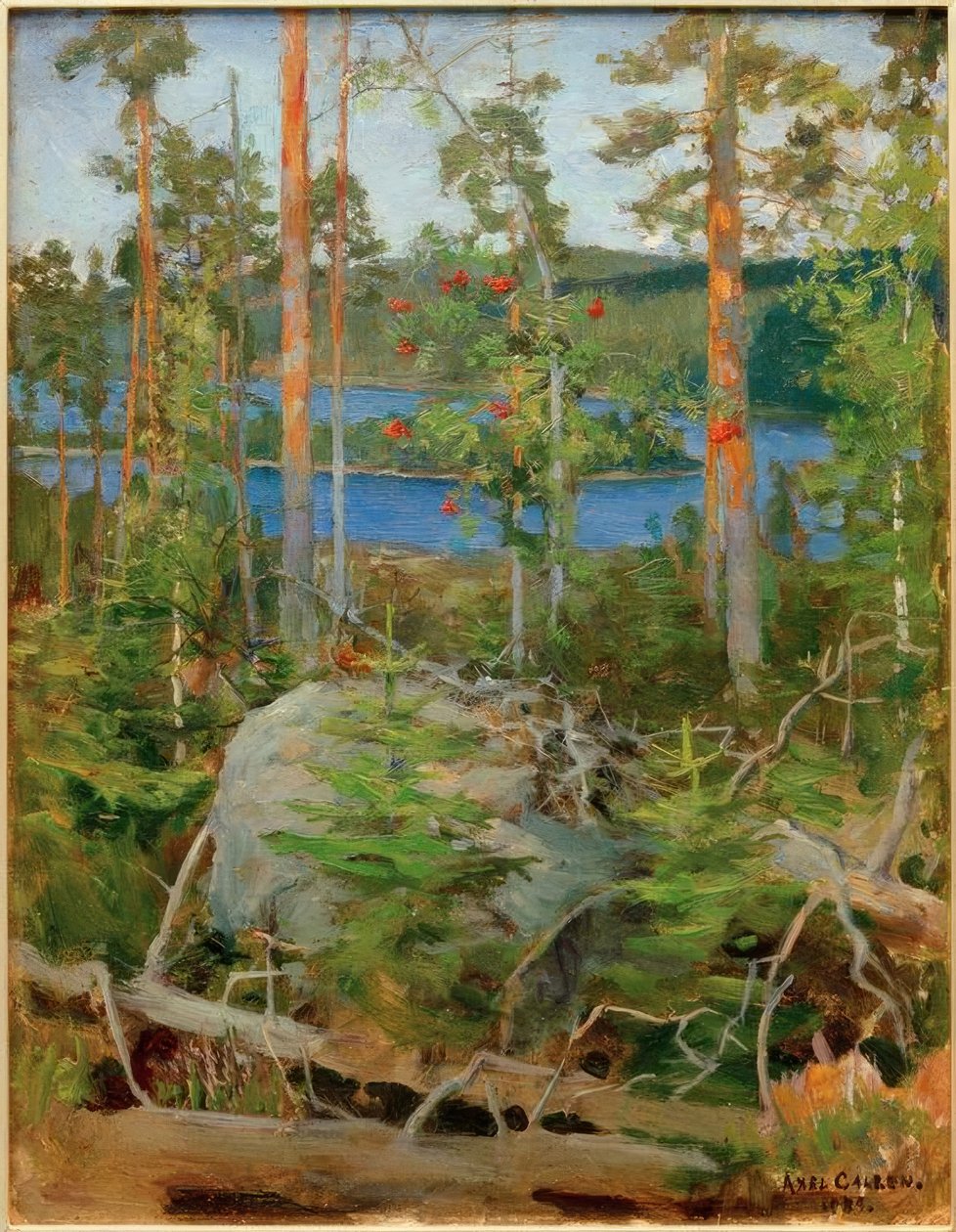 Näkymä Jamajärvelle tekijältä Akseli Valdemar Gallen Kallela