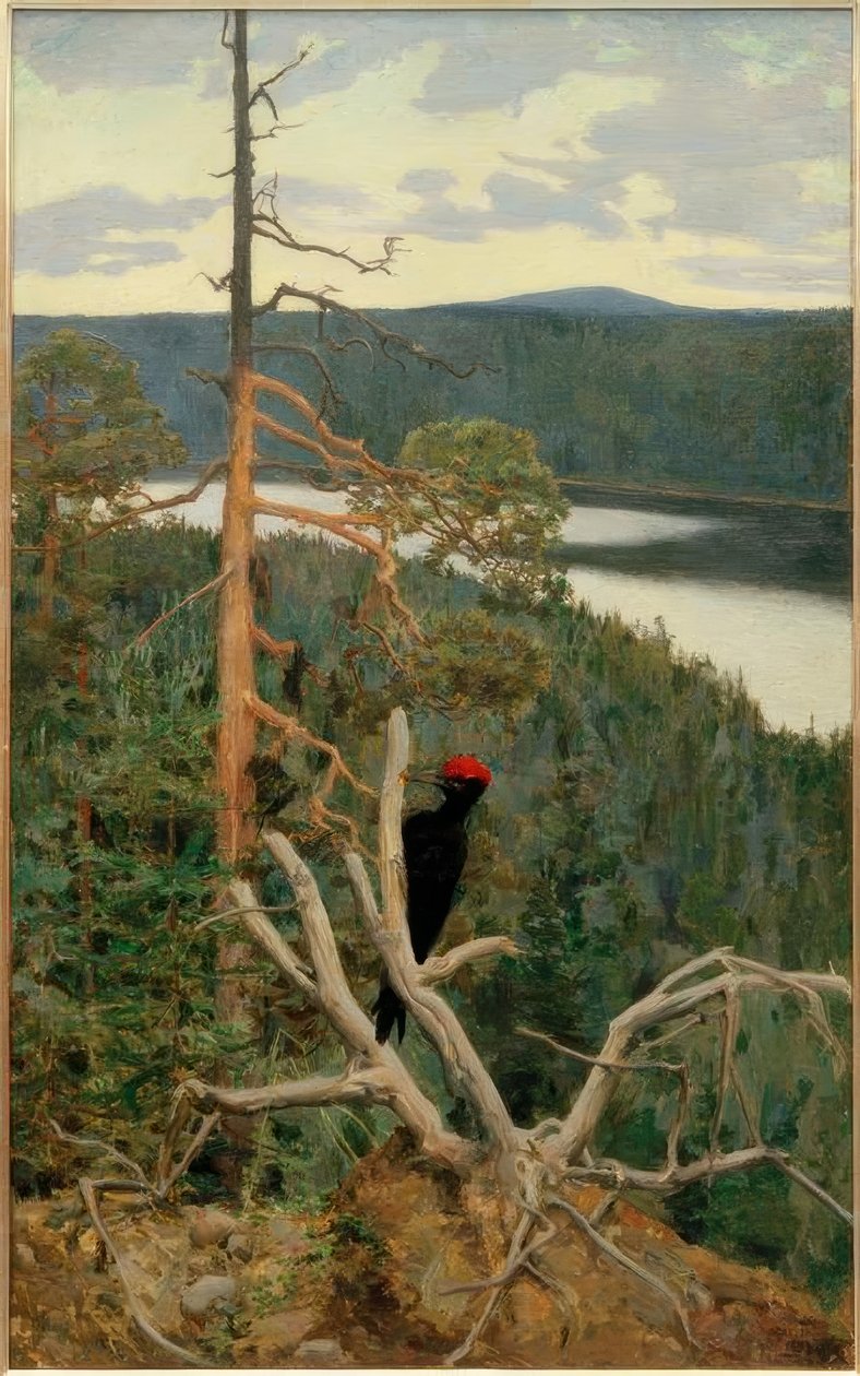 Der große Schwarzspecht tekijältä Akseli Valdemar Gallen Kallela
