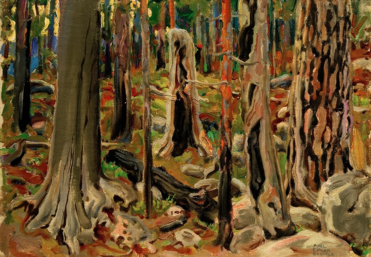 Der verbrannte Wald tekijältä Akseli Valdemar Gallen Kallela