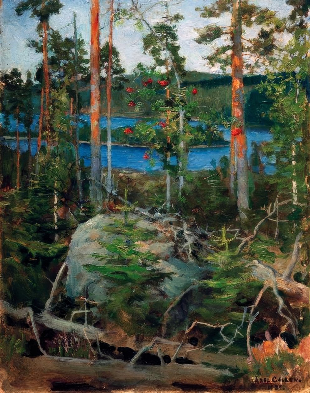 Maisema Jamajärven rannalla tekijältä Akseli Valdemar Gallen Kallela