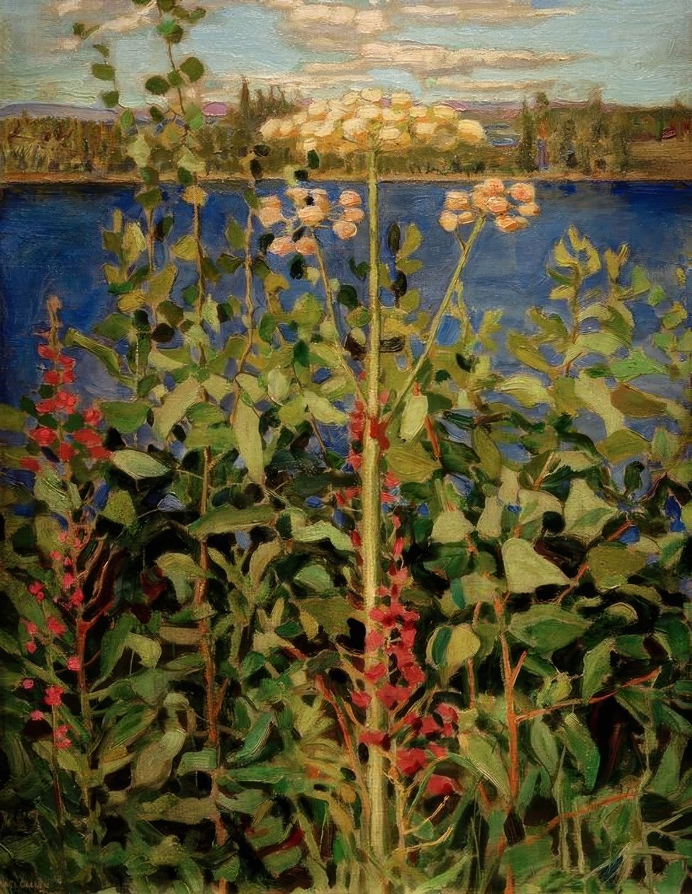 Wilde Angelika tekijältä Akseli Valdemar Gallen Kallela