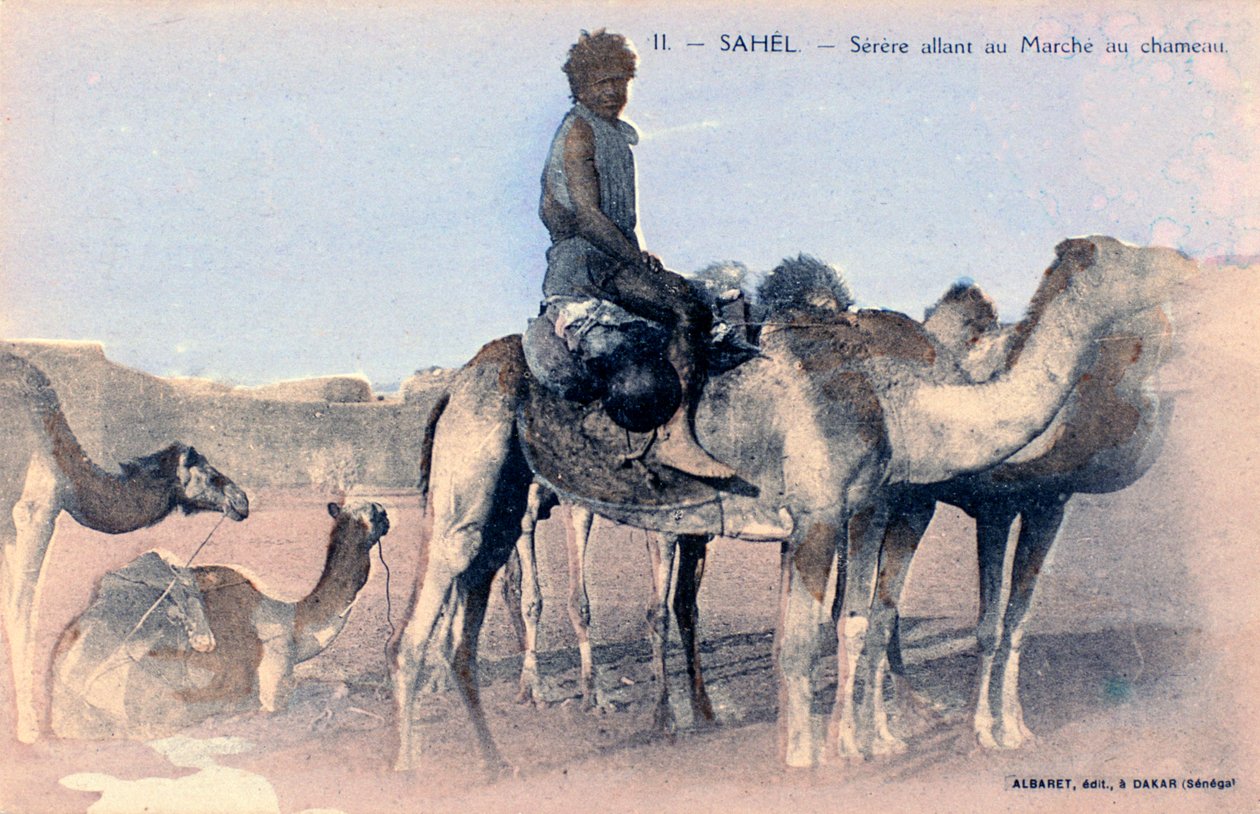 Serere, Sahel, Senegal, 1900-luku tekijältä Albaret