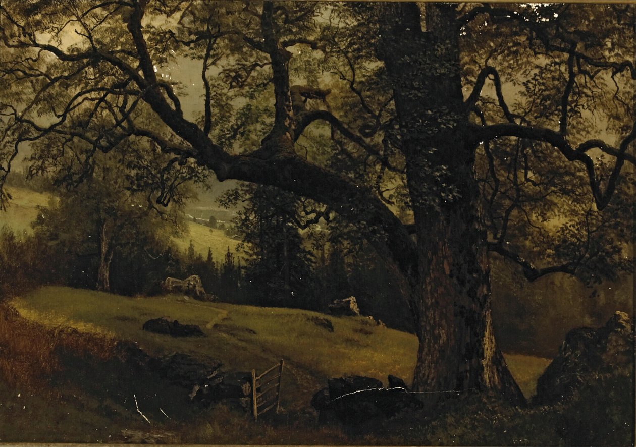 Polku puiden läpi tekijältä Albert Bierstadt