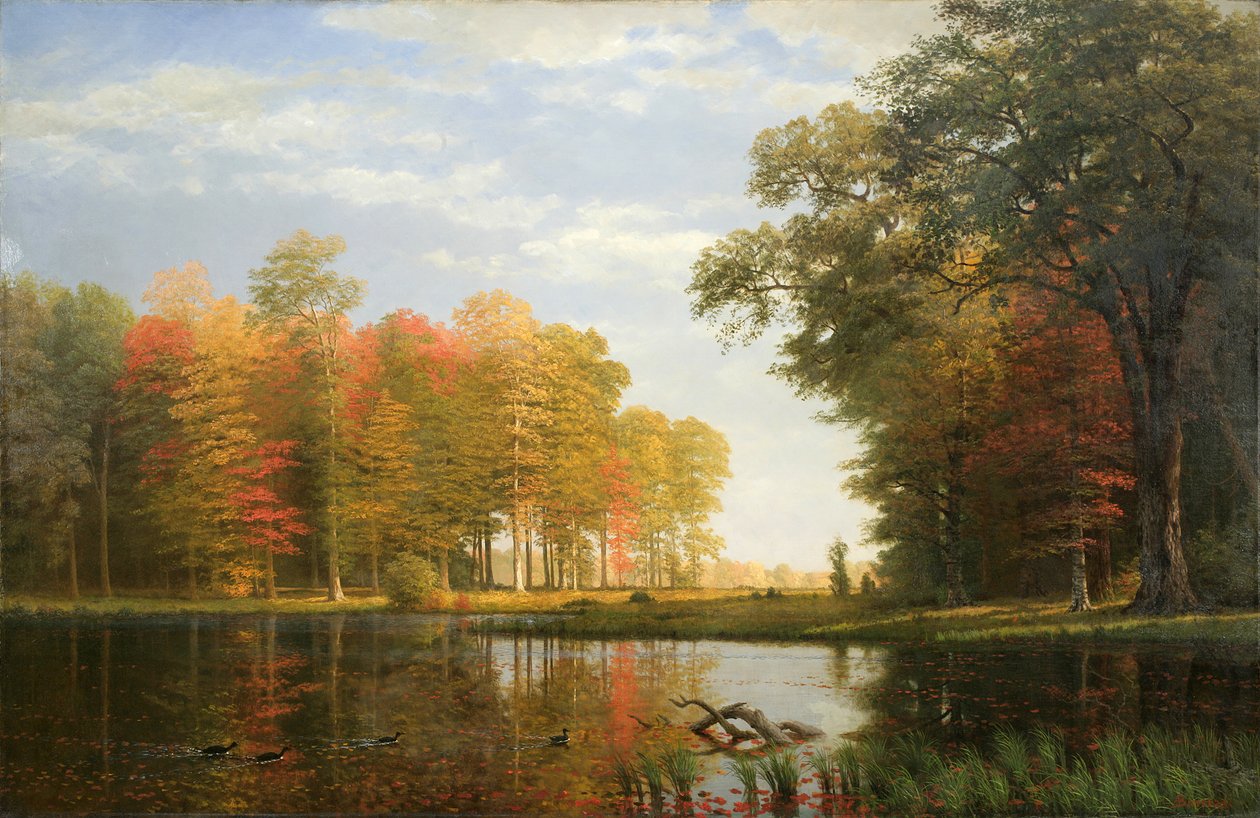 Autumn Woods, 1886 (öljy pellavalle) tekijältä Albert Bierstadt