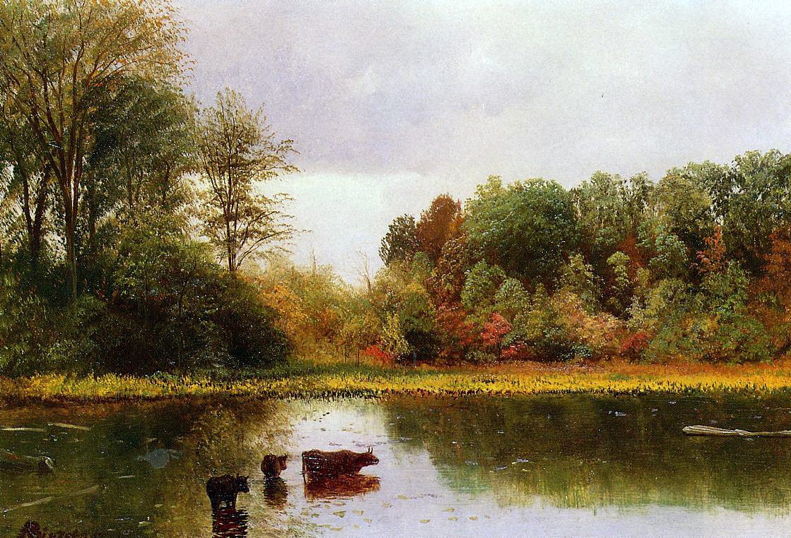 Lehmät kastelu maisemassa tekijältä Albert Bierstadt
