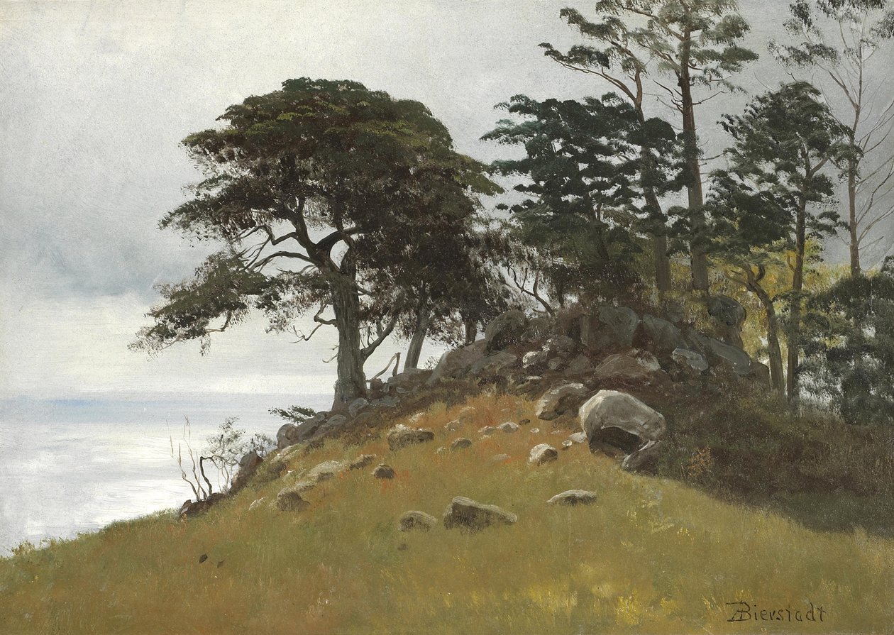 Cypress Point, Monterey tekijältä Albert Bierstadt