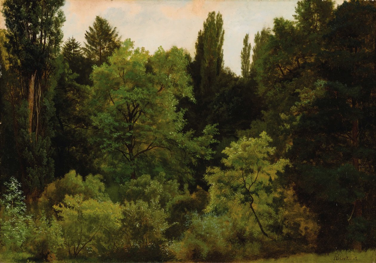 Syvällä Kalliovuorilla tekijältä Albert Bierstadt