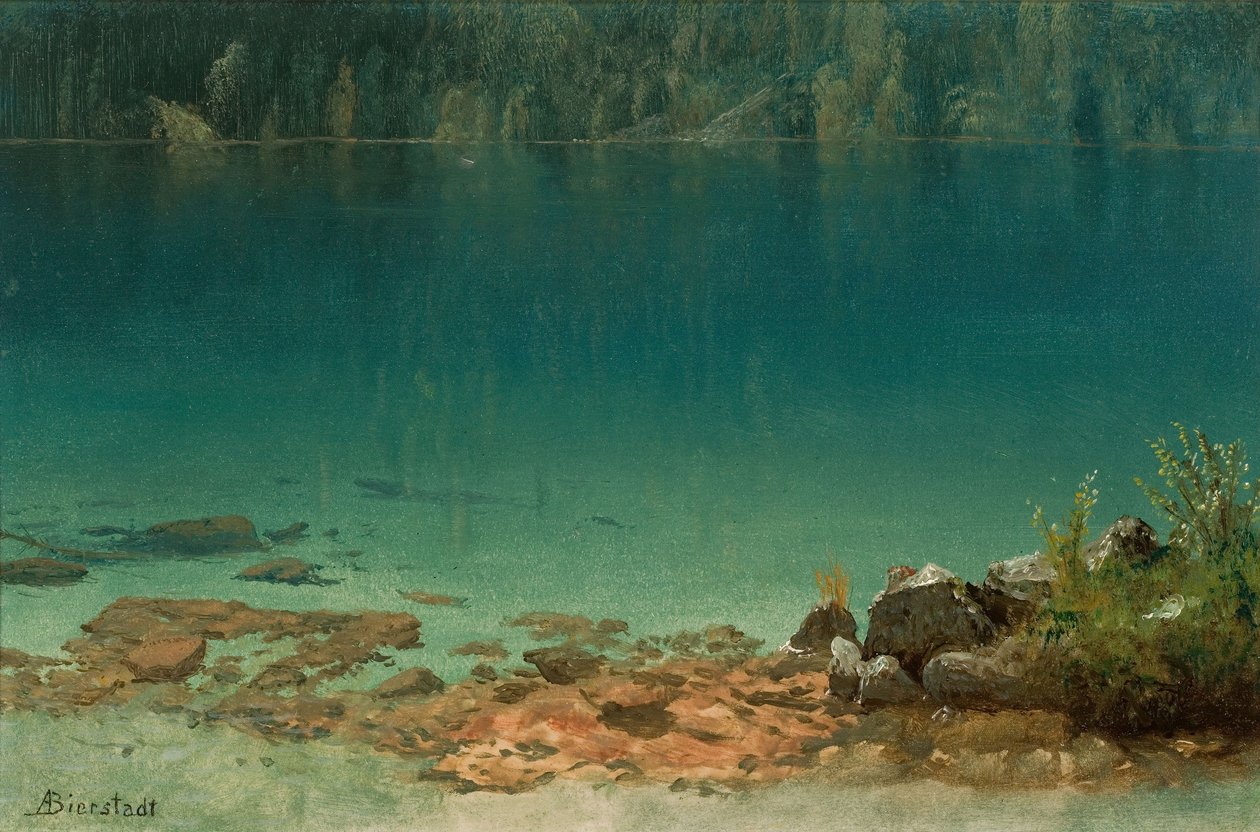 Järven kohtaus tekijältä Albert Bierstadt