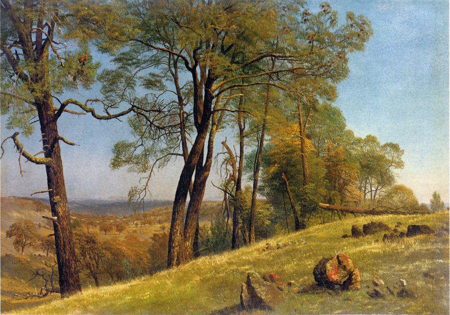 Maisema Rockland County Kaliforniassa tekijältä Albert Bierstadt