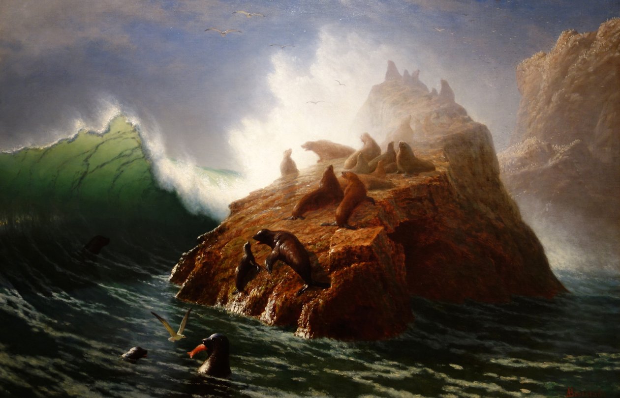 Seal Rock tekijältä Albert Bierstadt
