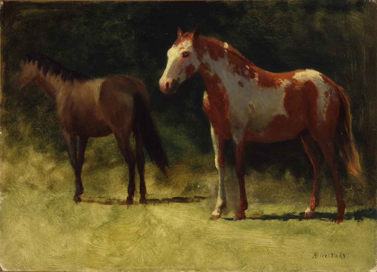 Kaksi hevosta tekijältä Albert Bierstadt
