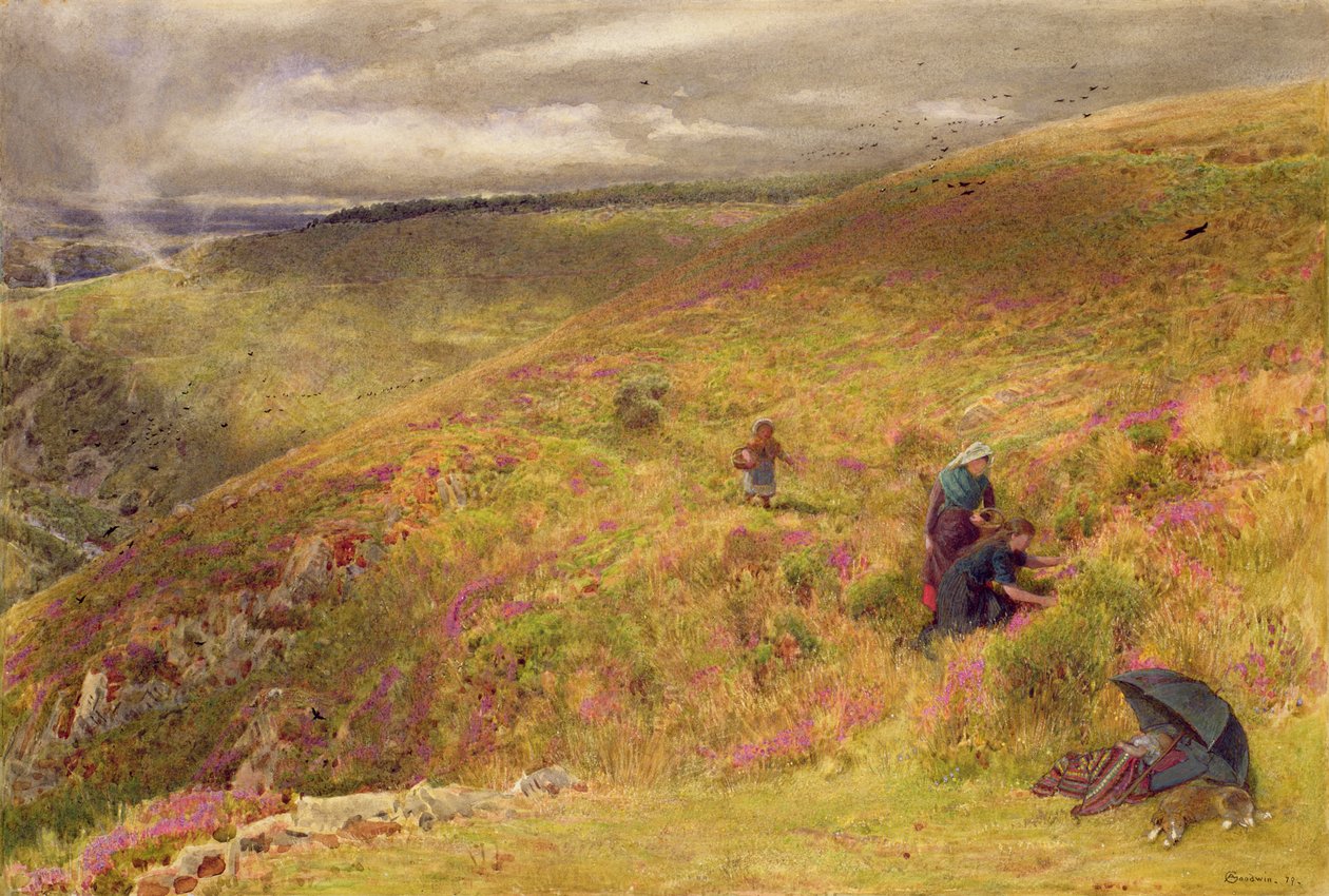 South Downsissa, 1879 (wc, vartaloväri, muste ja raapiminen paperille) tekijältä Albert Goodwin