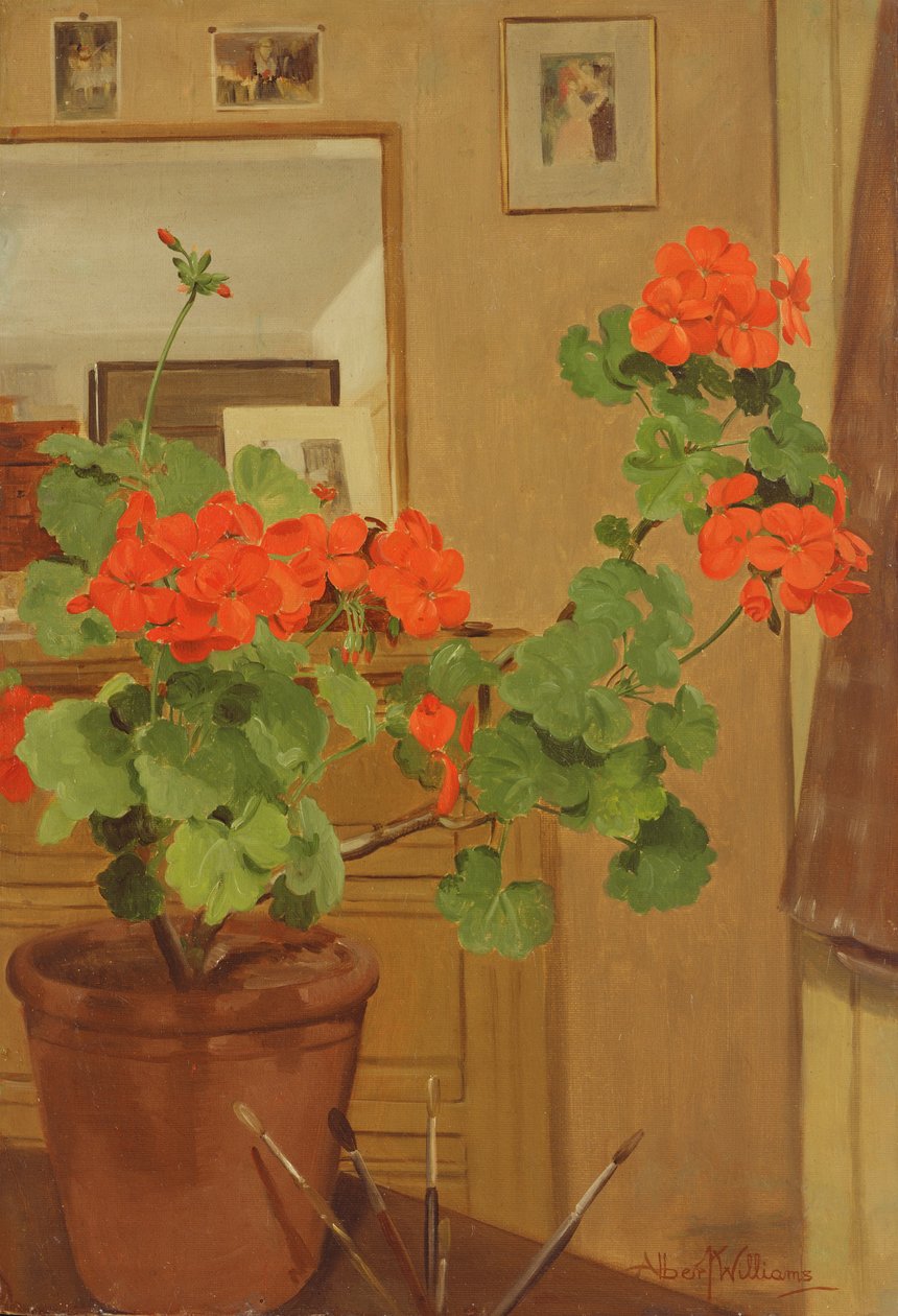 AB319 Geraniums studiokulmassa, 1948-49 tekijältä Albert Williams