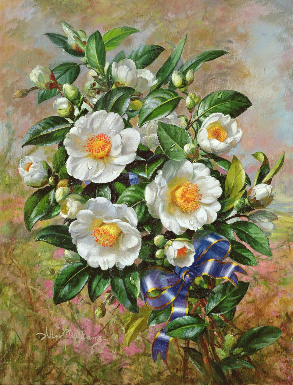 Coronation Camelia Golden Jubilee -sarjasta, 2002 tekijältä Albert Williams