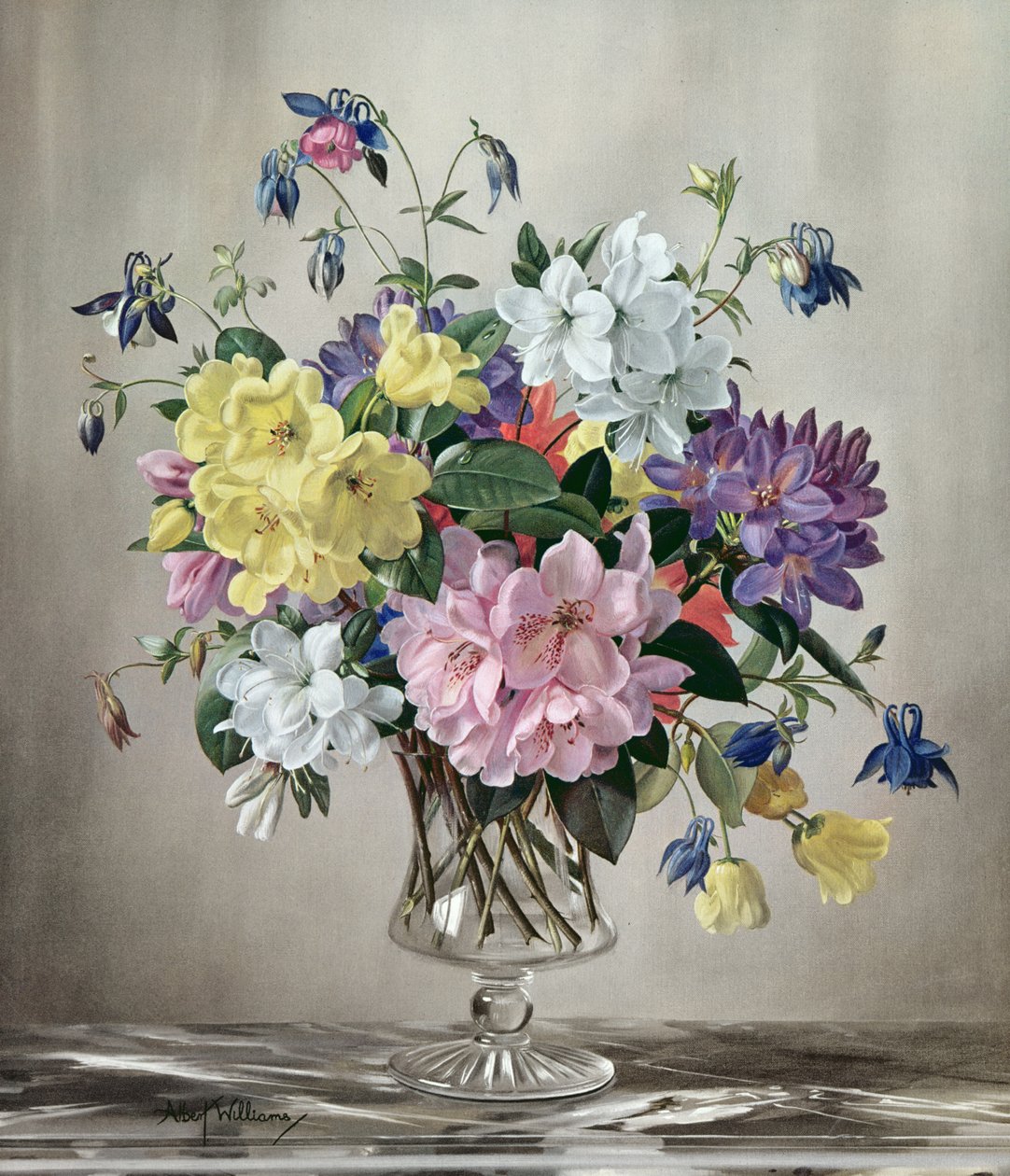 PB/321 Rhododendrons, atsaleas ja Columbine lasimaljakossa tekijältä Albert Williams