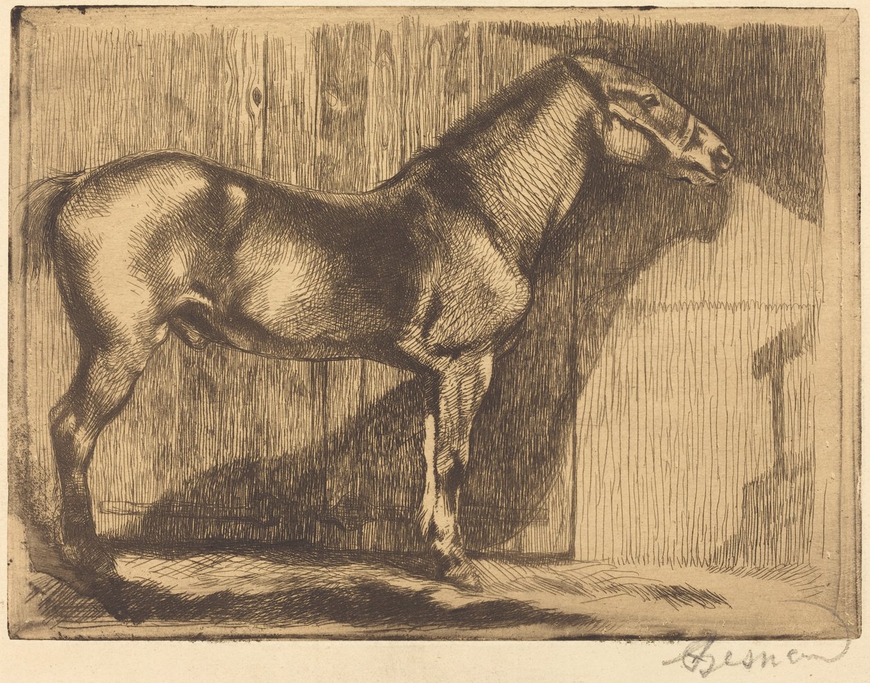 Poni (Le poney) tekijältä Albert Besnard