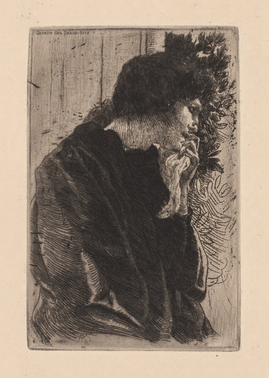 Suru, 1887. tekijältä Paul Albert Besnard