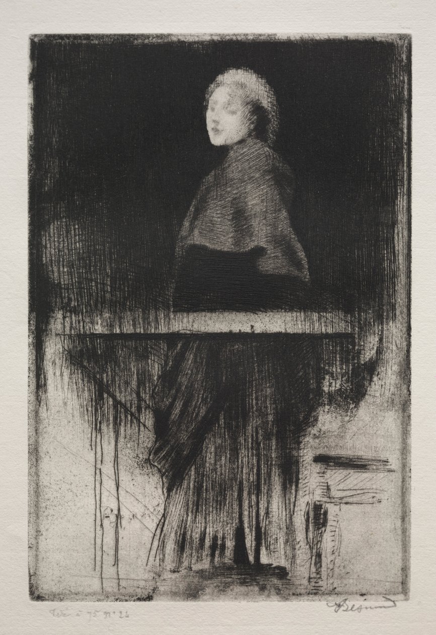 Nainen viitta kanssa, 1889. tekijältä Paul Albert Besnard