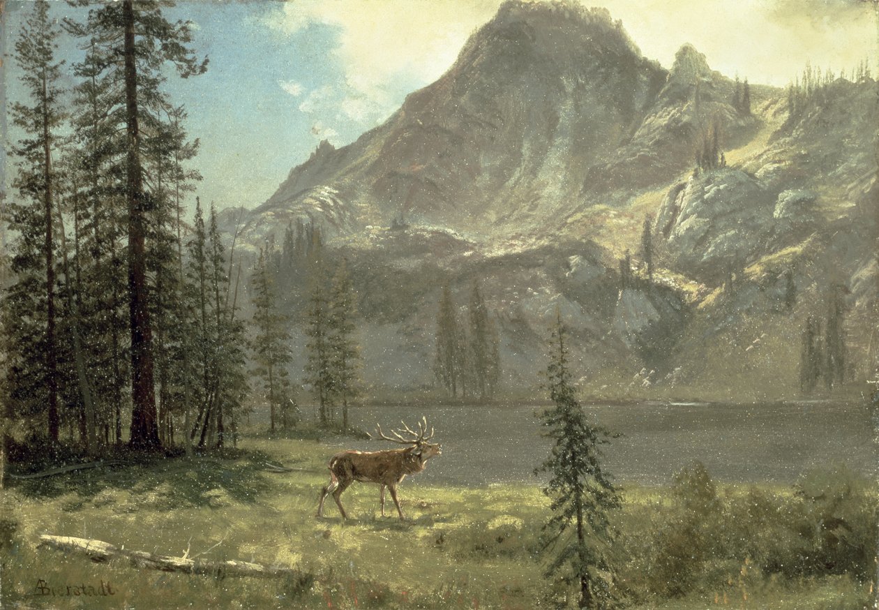 Erämaan kutsu tekijältä Albert Bierstadt