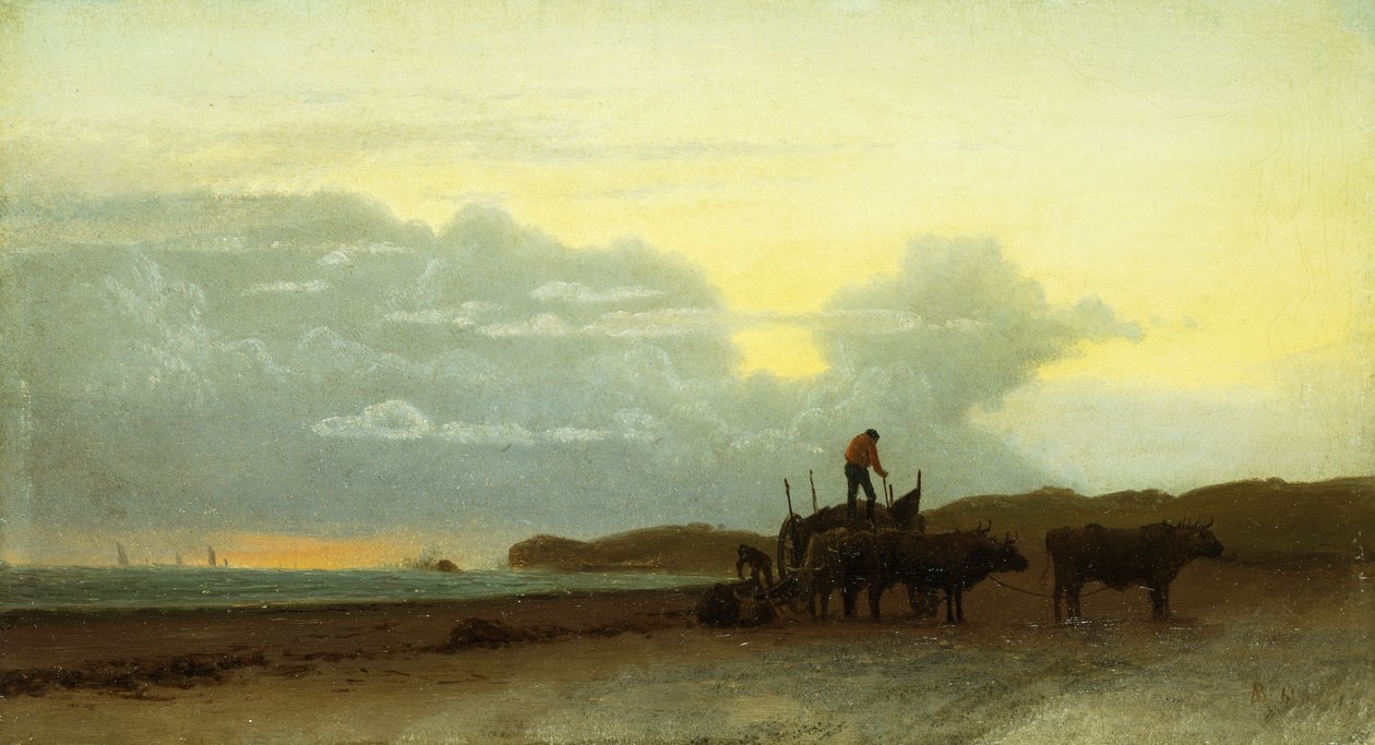 Coastal View, Newport, 1861 tekijältä Albert Bierstadt