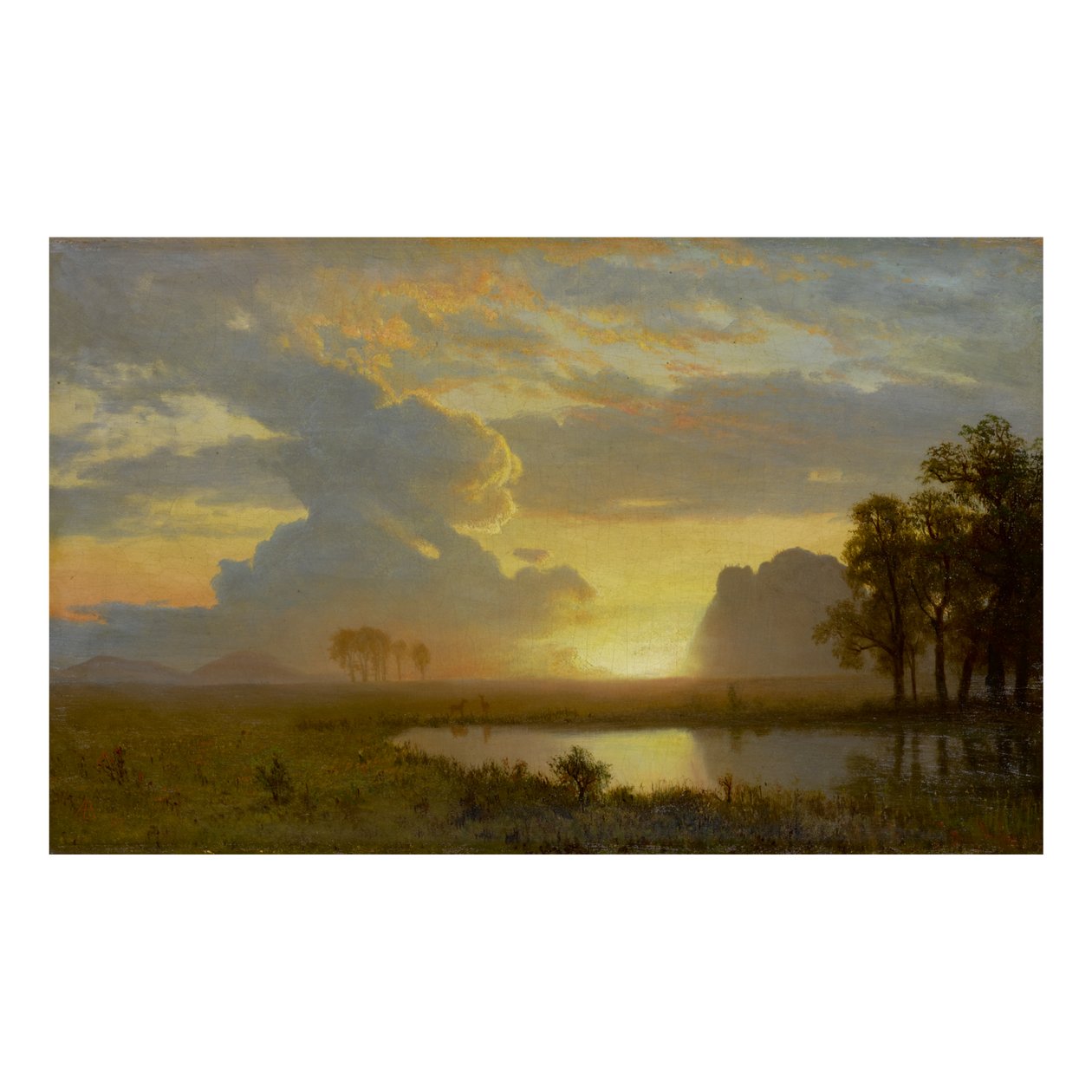 ESTES PARK, COLORADO tekijältä Albert Bierstadt