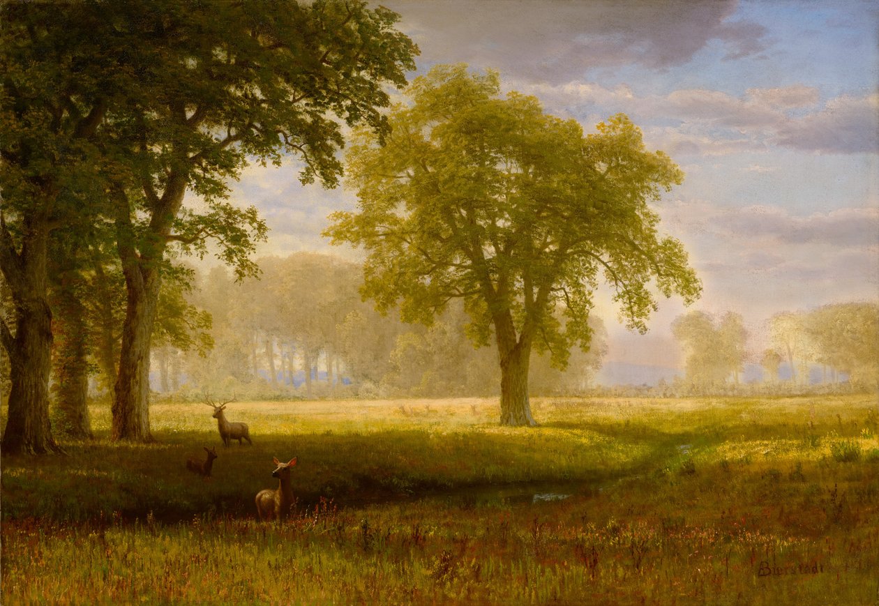 Hirvi Oak Grovessa (Tuolumne Meadows) tekijältä Albert Bierstadt