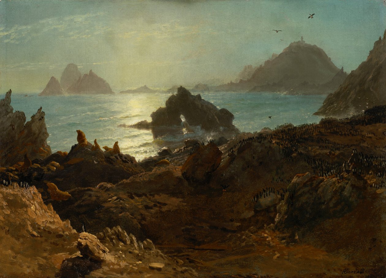 Farallon-saaret, Tyynimeri, Kalifornia tekijältä Albert Bierstadt