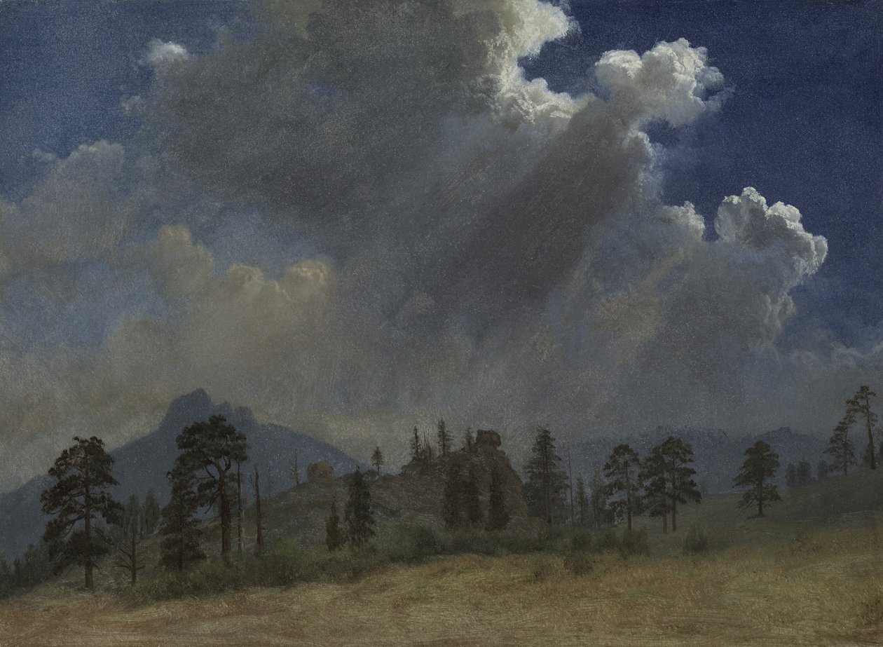 Mäntyjä ja myrskypilviä tekijältä Albert Bierstadt