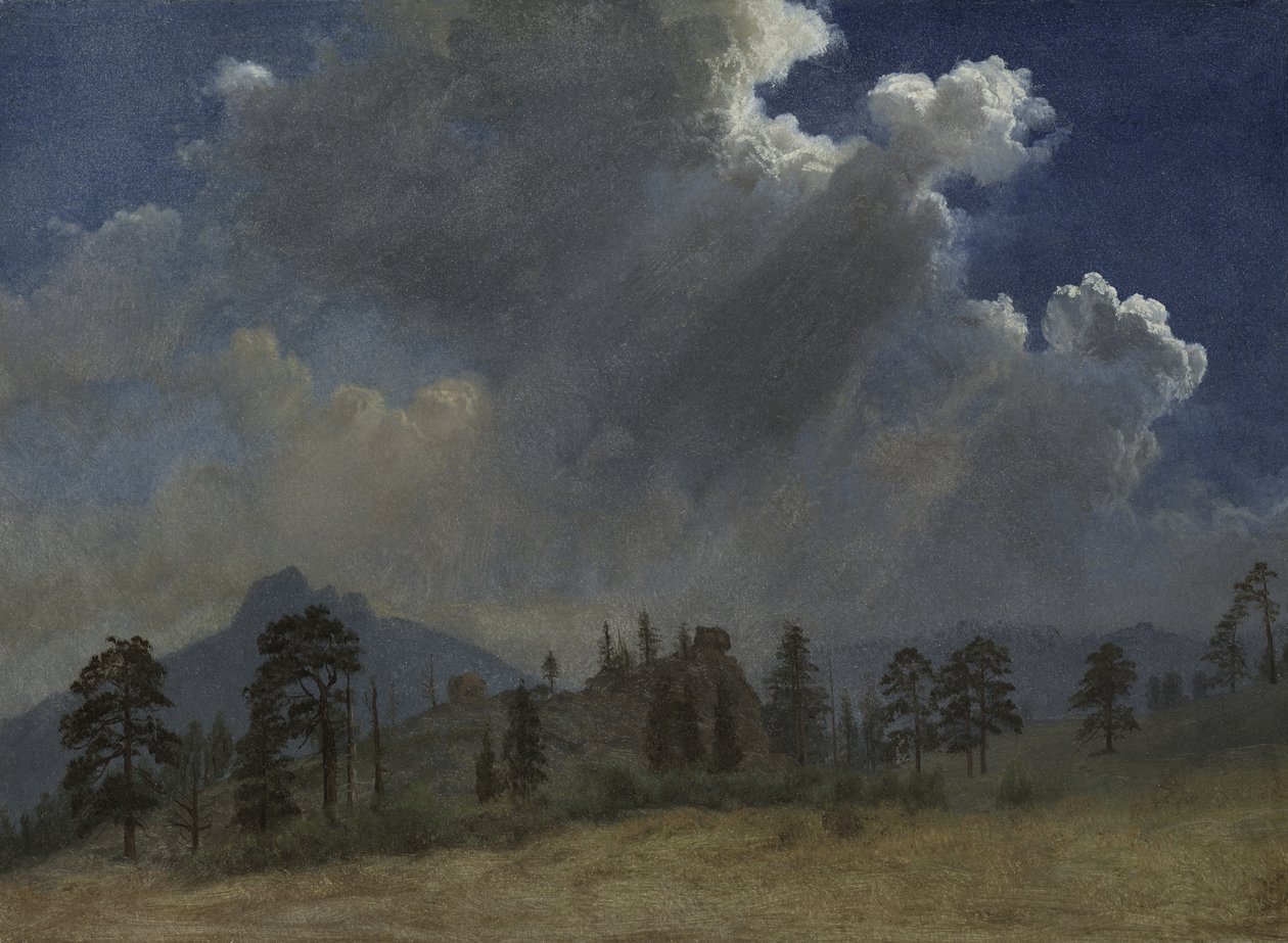 Kuusia ja myrskypilviä, n.1870 (öljy paperille ja kankaalle kiinnitettynä). tekijältä Albert Bierstadt