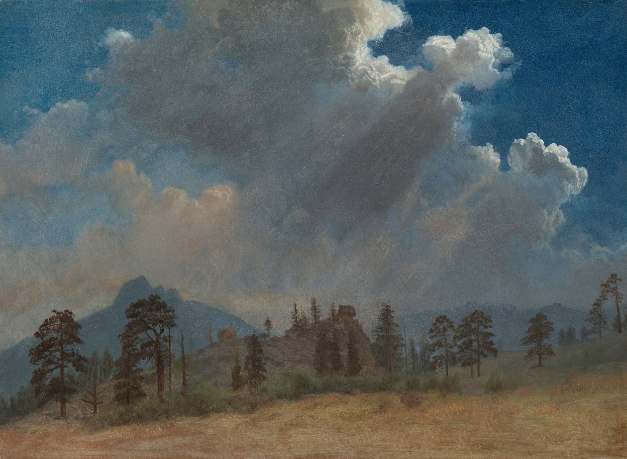 Kuusia ja myrskypilviä, n. 1870. tekijältä Albert Bierstadt