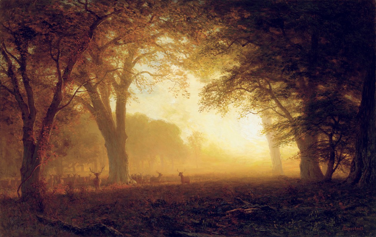 Kalifornian kultainen valo tekijältä Albert Bierstadt