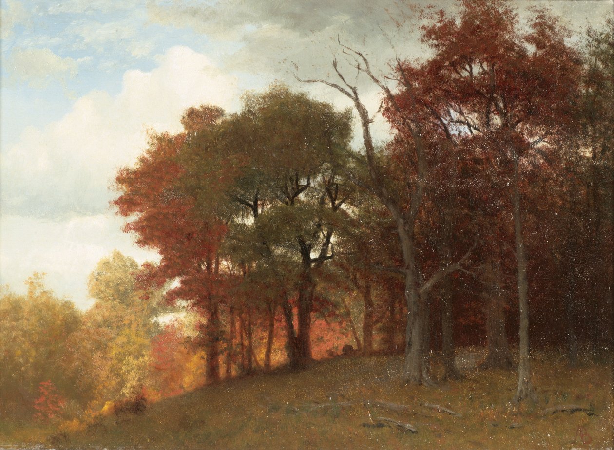 Hastings Hudson-joella, 1865 (öljy pellavalle) tekijältä Albert Bierstadt