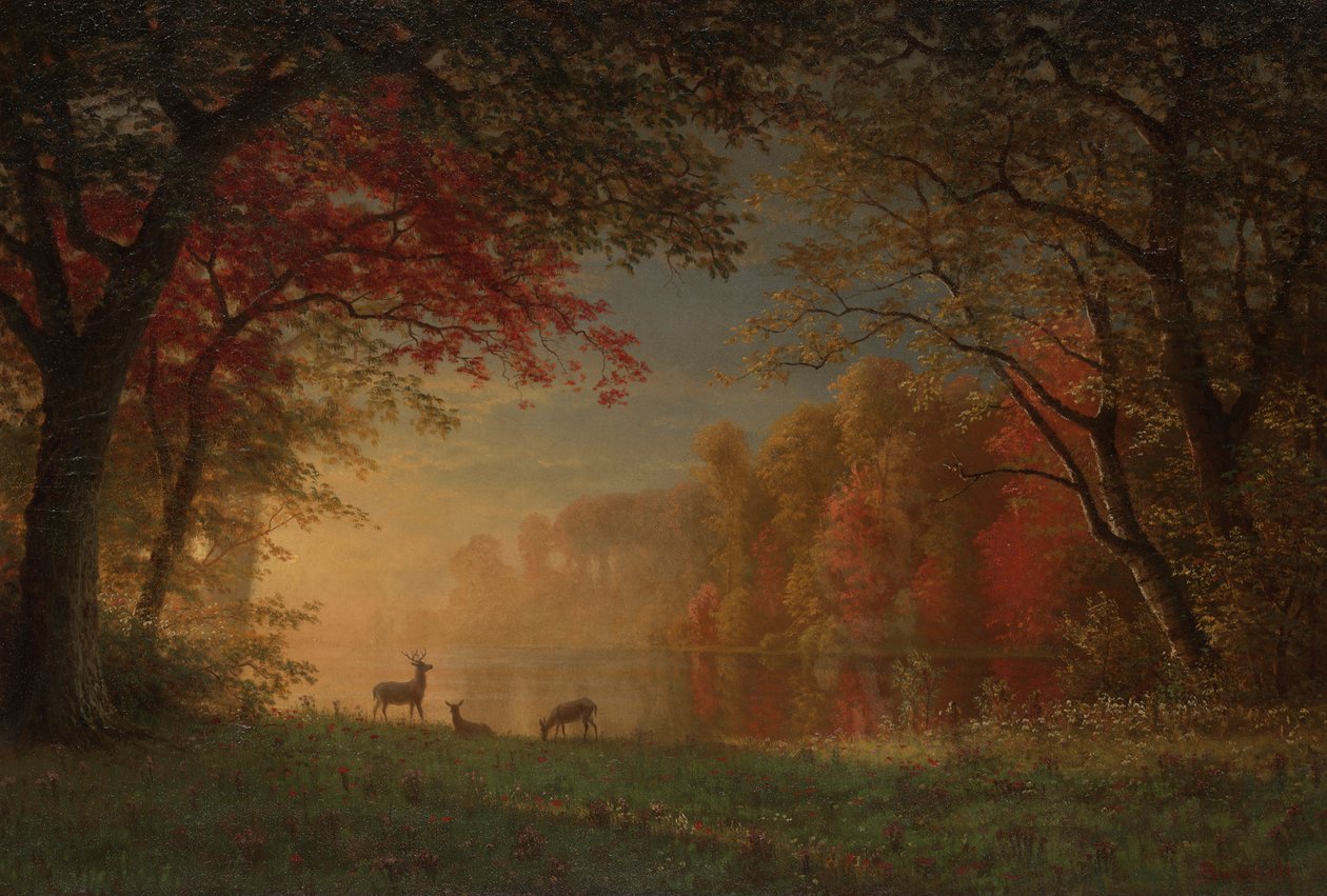 Intian auringonlasku: Hirvi järven rannalla tekijältä Albert Bierstadt